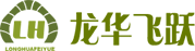龍華飛(fēi)躍