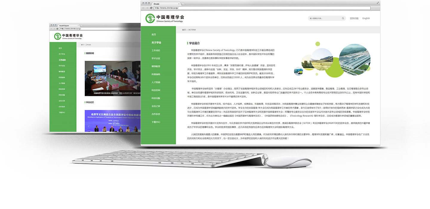 中國(guó)毒理(lǐ)學會(huì)網站(zhàn)建設